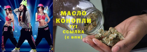 apvp Гусев