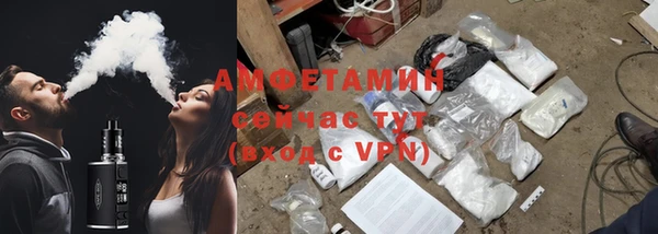 амф Гусиноозёрск