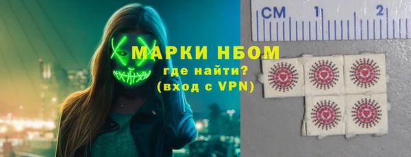 амф Гусиноозёрск