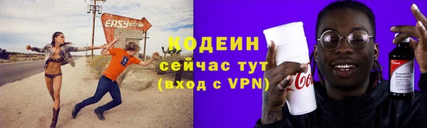 apvp Гусев
