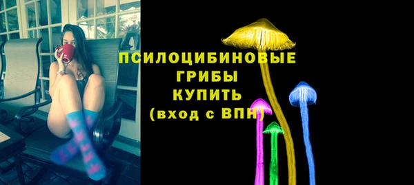 apvp Гусев