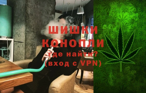 гидропоника Пересвет