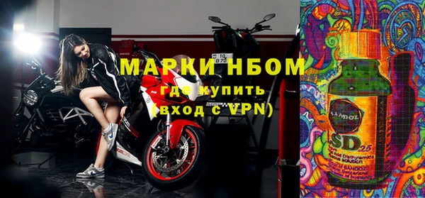 амф Гусиноозёрск
