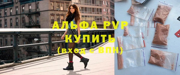 apvp Гусев