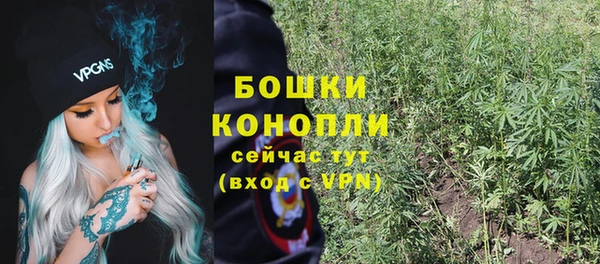 амф Гусиноозёрск