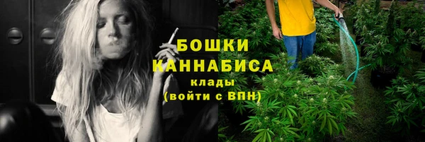 амф Гусиноозёрск