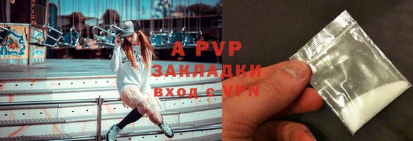 амф Гусиноозёрск